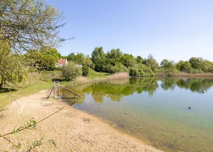 For The Whole Family