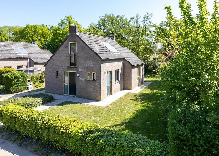 For The Whole Family